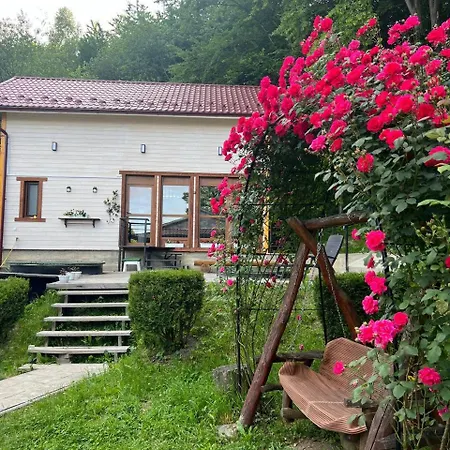 Карпатська Модрина Villa Kosiv Exterior photo