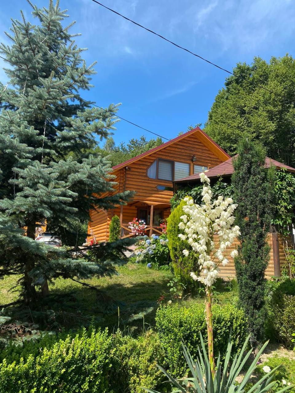 карпатська модрина Villa *