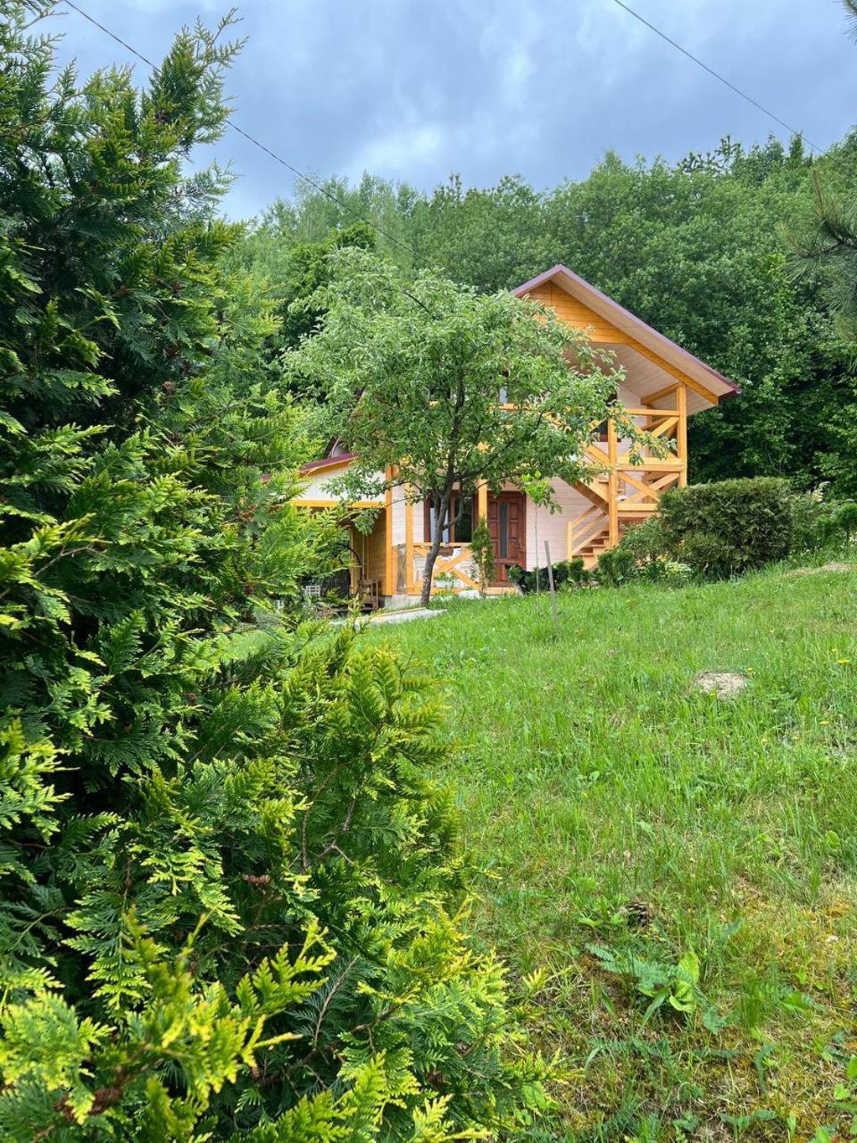 Villa карпатська модрина Kosiv