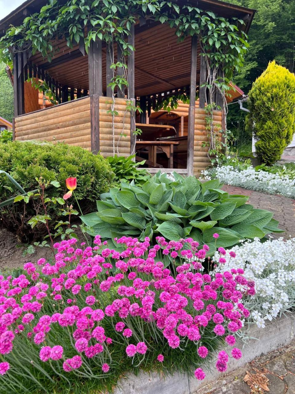 карпатська модрина Villa *