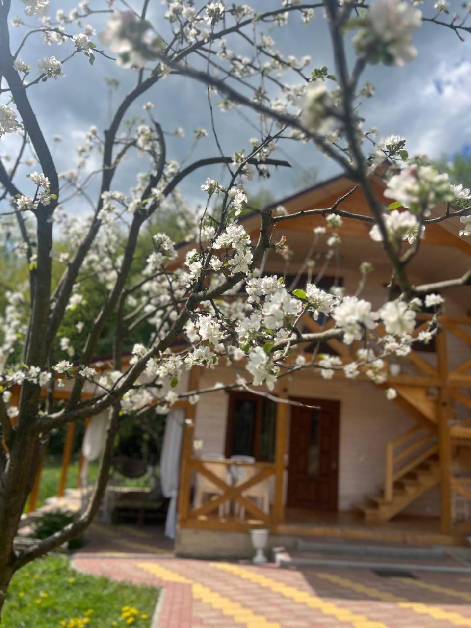 карпатська модрина Villa Kosiv